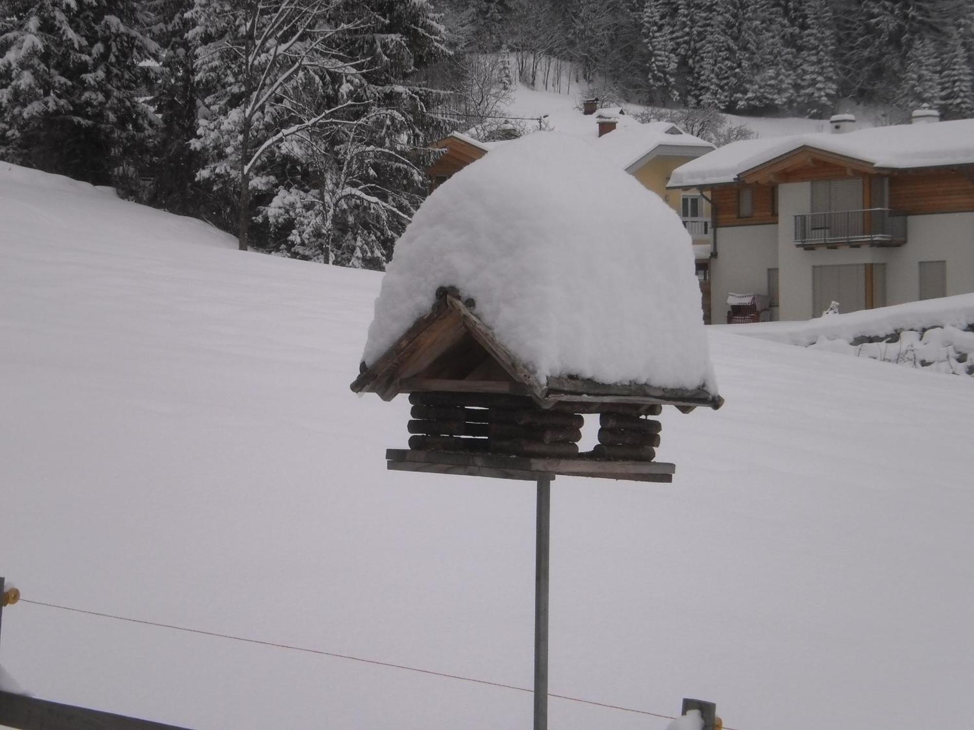 Haus Birke Leilighet Weissensee Eksteriør bilde