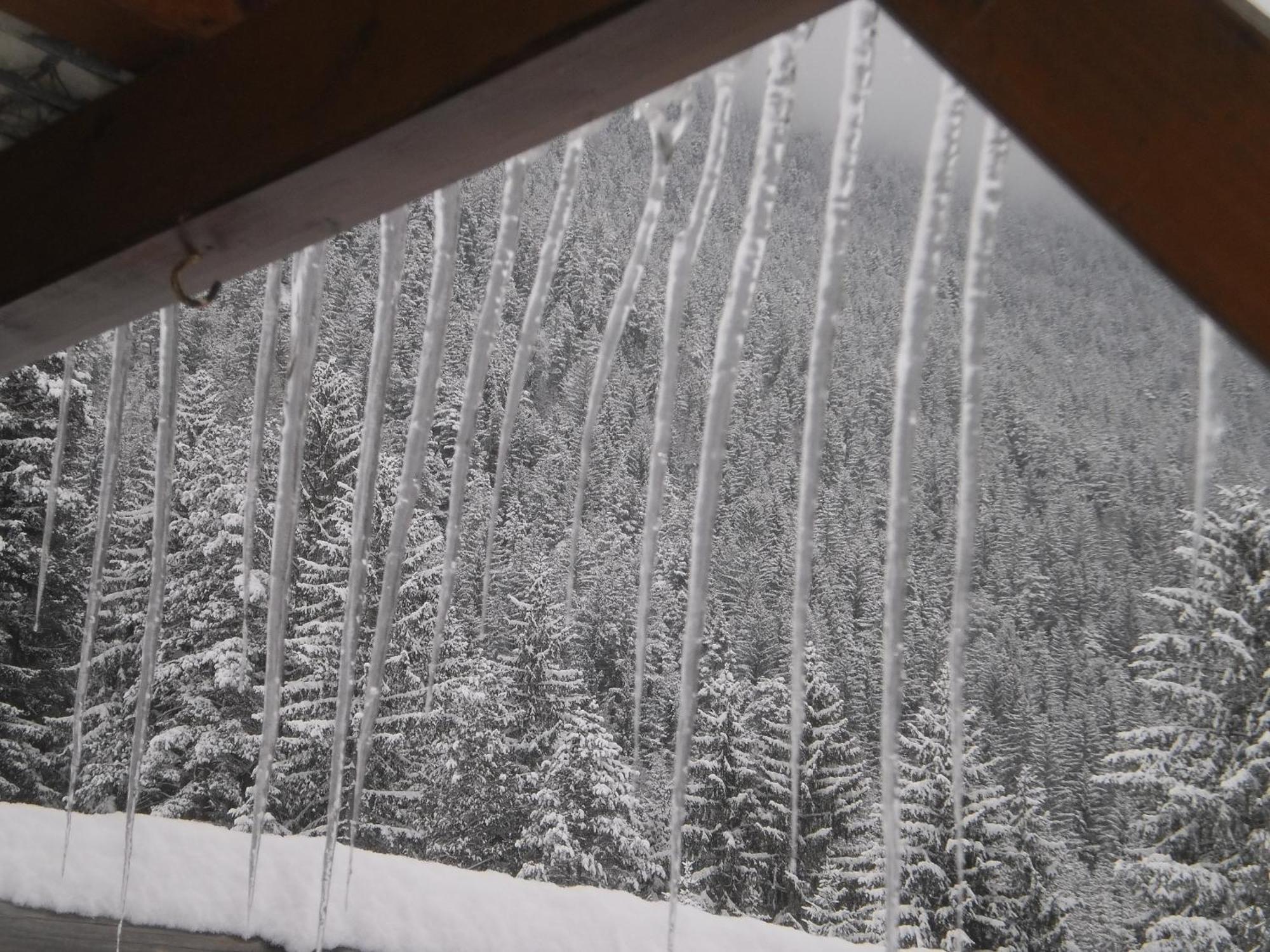 Haus Birke Leilighet Weissensee Eksteriør bilde