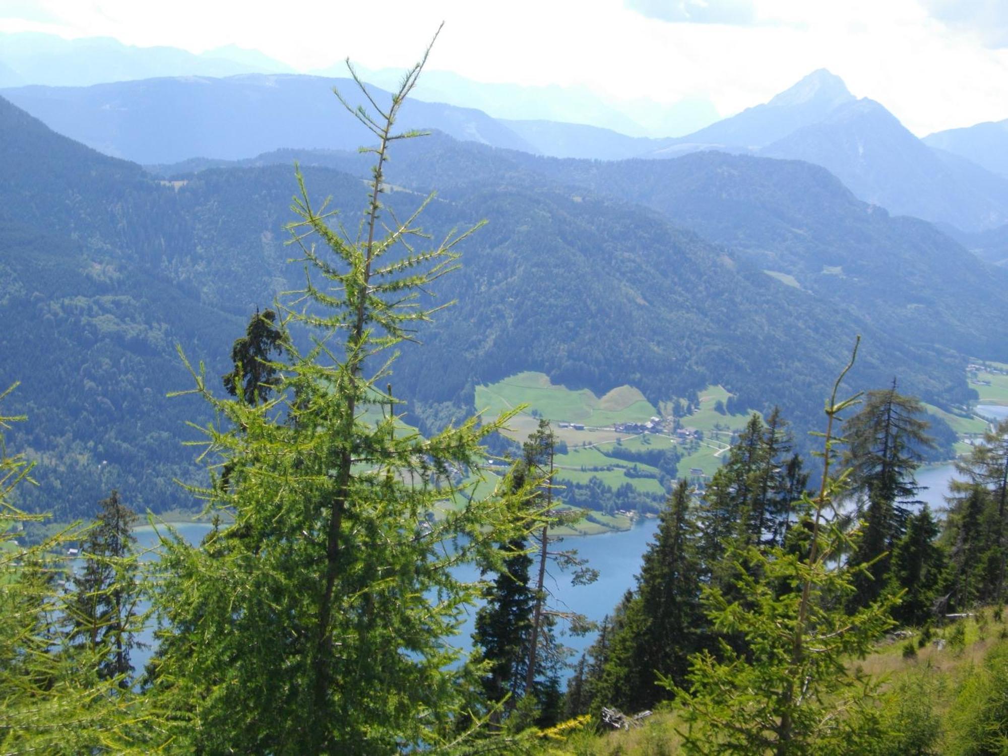 Haus Birke Leilighet Weissensee Eksteriør bilde